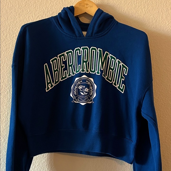 Abercrombie & Fitch sweater - Picture 1 of 6